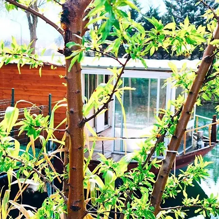 Insolite Péniche Amazonie Canal Du Midi Bateau-hôtel