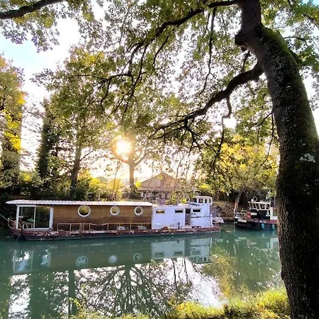 Insolite Peniche Amazonie Canal Du Midi Gardouch